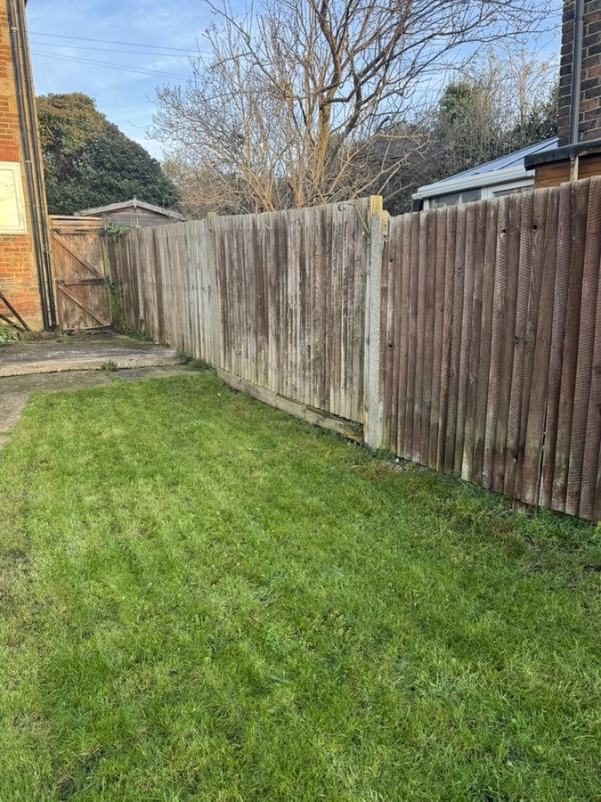 Fenced rear garden post-renovation — Victorian terrace renovation, Surrey